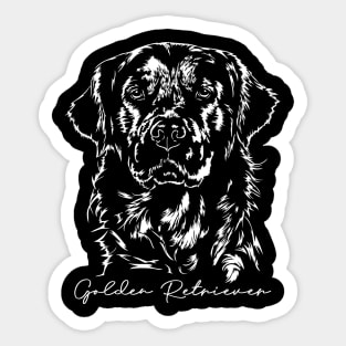 Funny Proud Golden Retriever dog portrait Sticker